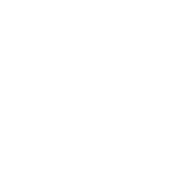 調整をしていない新品/未使用品