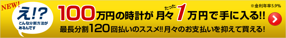 最長分割120回払いのすすめ
