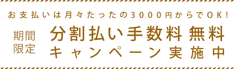 分割払い手数料無料キャンペーン実施中