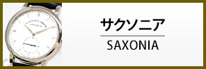 中古ランゲ287ゾーネ サクソニア