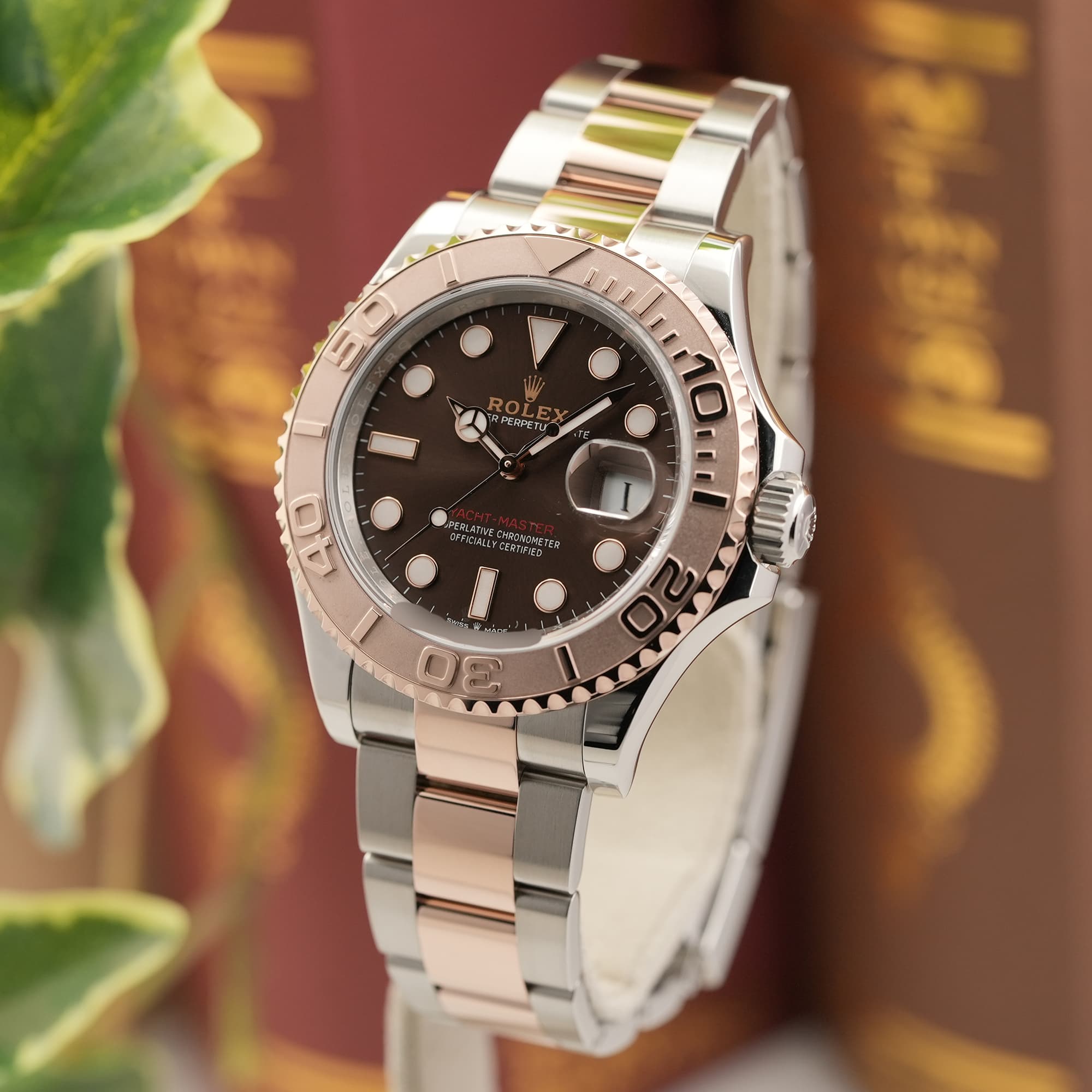 中古)ROLEX ロレックス ヨットマスター 40 126621 チョコレート（商品