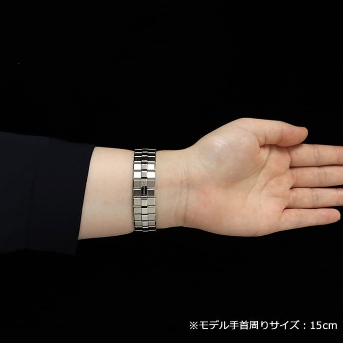 スノーマウンテン ２箱 新品)CHOPARD ショパール アルパイン イーグル 33 298617-3002