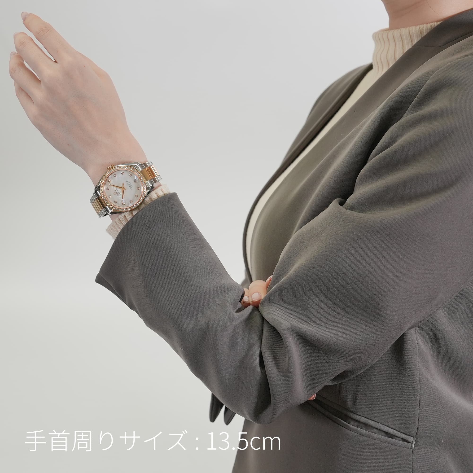 新品)OMEGA オメガ シーマスター アクアテラ マスター コーアクシャル 