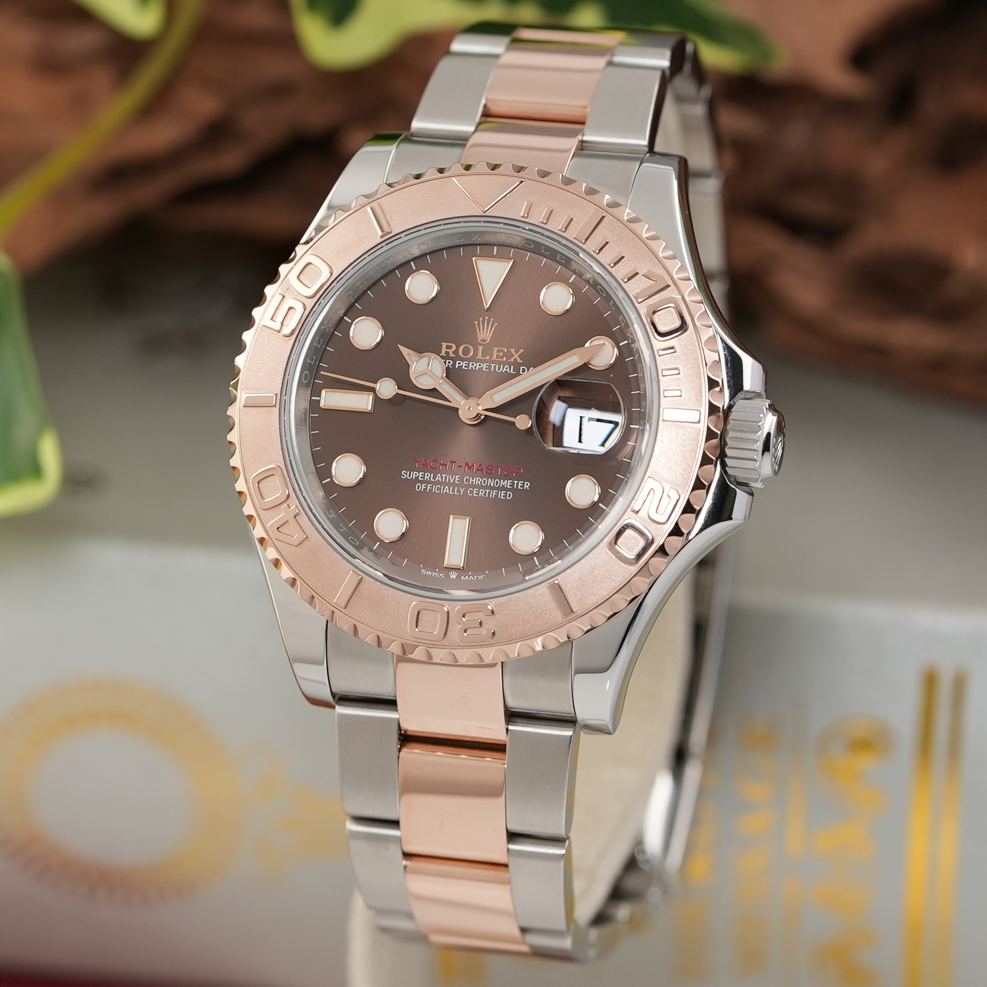 中古)ROLEX ロレックス ヨットマスター 40 126621 チョコレート（商品