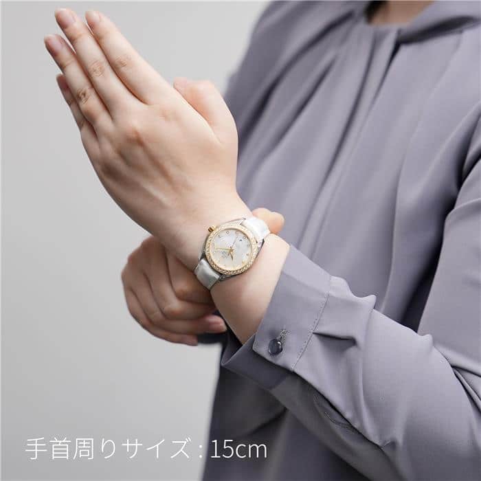 新品)OMEGA オメガ シーマスター アクアテラ 150m マスター 
