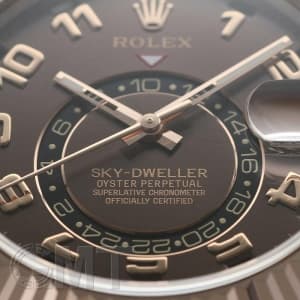 ROLEX ロレックス スカイドゥエラー Ref.326135  BR メイン