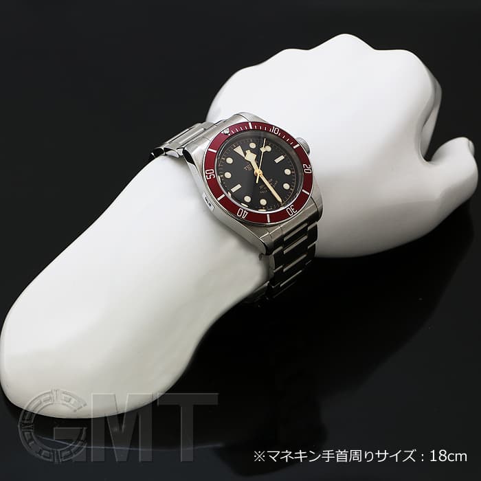 新品)TUDOR チューダー ヘリテージブラックベイ M79220R ブレスレット