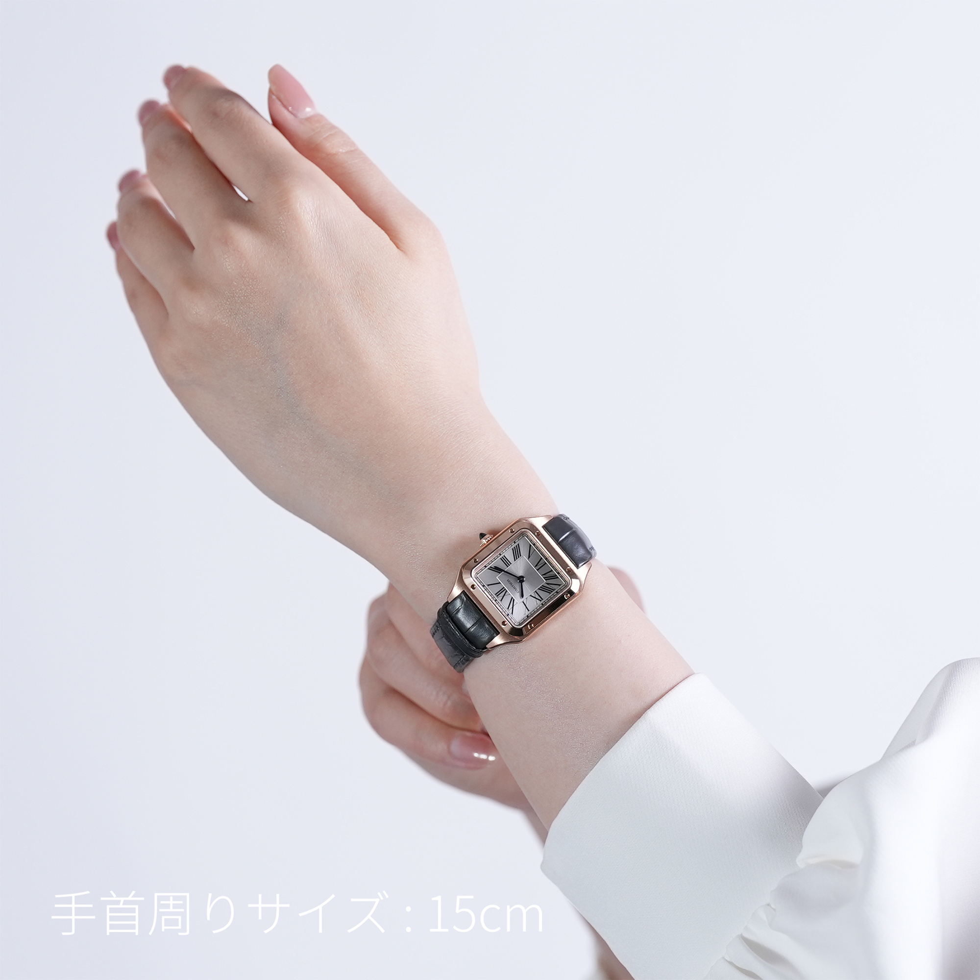 新品)CARTIER カルティエ サントス デュモン ウォッチ SM WGSA0117