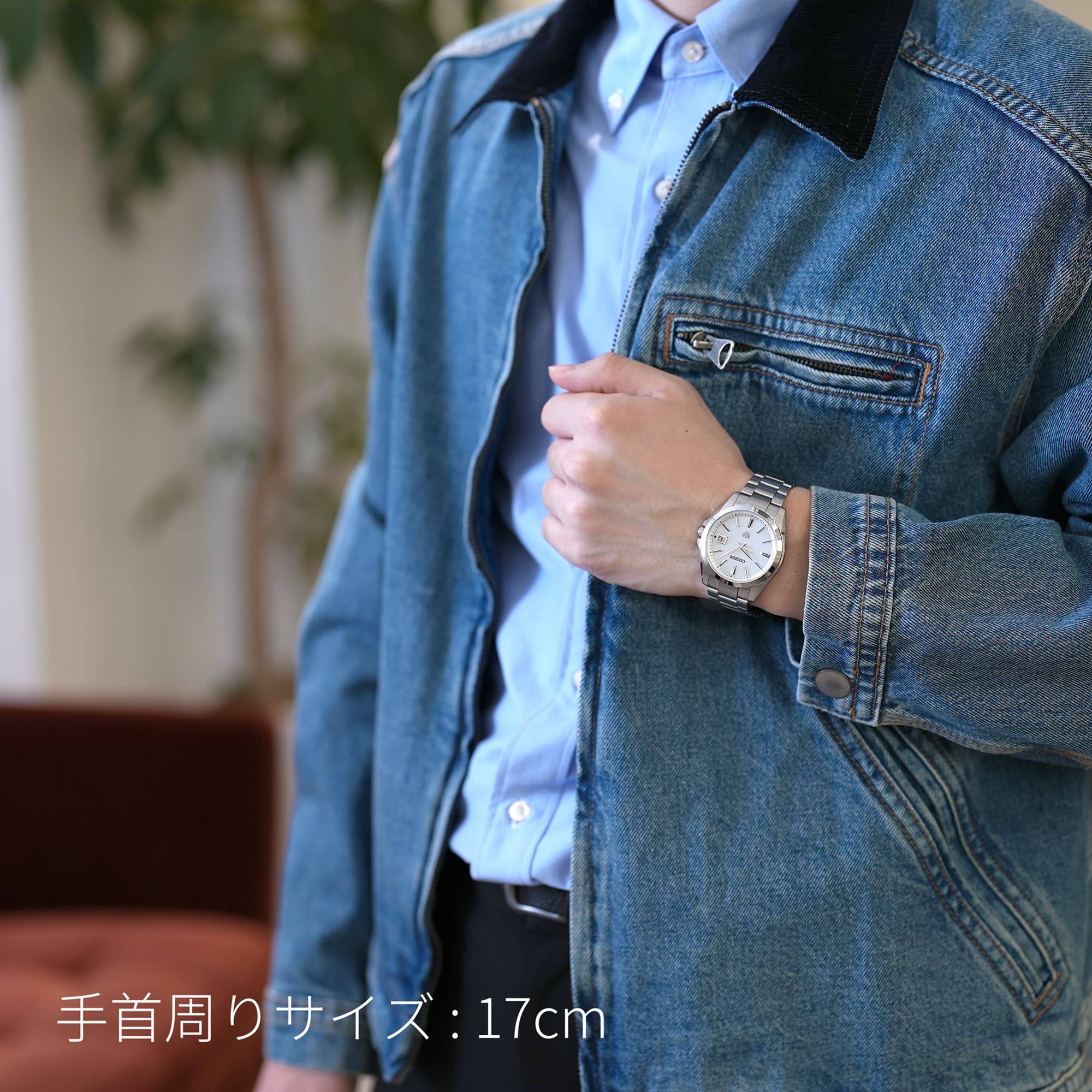 中古)CITIZEN シチズン ザ・シチズン エコドライブ AQ4060-50W【限定 
