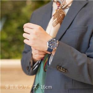 OMEGA オメガ シーマスター ダイバー300Mコーアクシャルマスタークロノメーター210.32.42.20.03.001
