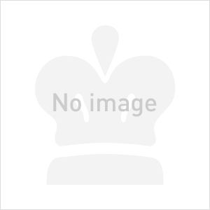 ROLEX ロレックス デイデイト 128345RBR ブラウンオンブレ