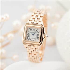 新品未使用 Cartier パンテール ドゥ カルティエ SM パンテール ドゥ カルティエ SM[WJPN0049] Panthere De Cartier