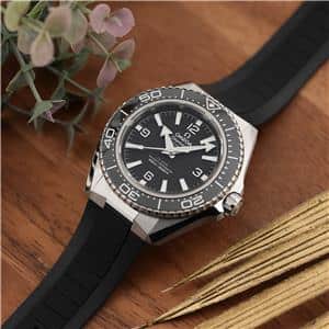 OMEGA オメガ シーマスター プラネットオーシャン 600M 217.32.42.21.01.001【2025新作】 メイン