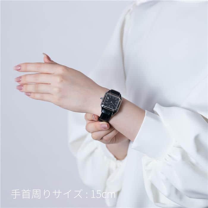 中古)CARTIER カルティエ サントス デュモン LM WSSA0046