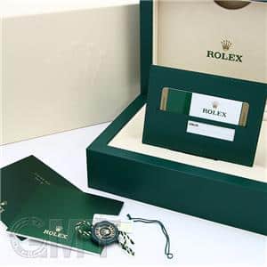 ROLEX ロレックス スカイドゥエラー 326135 ブラウン メイン