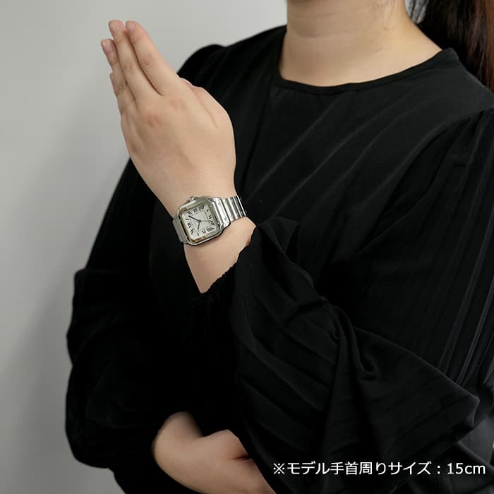 中古)CARTIER カルティエ サントス ドゥ カルティエ MM WSSA0029（商品