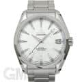 OMEGA オメガ シーマスター オメガ シーマスター アクアテラ コーアクシャル クロノメーター 38.5ｍｍ 231.10.39.21.55.001