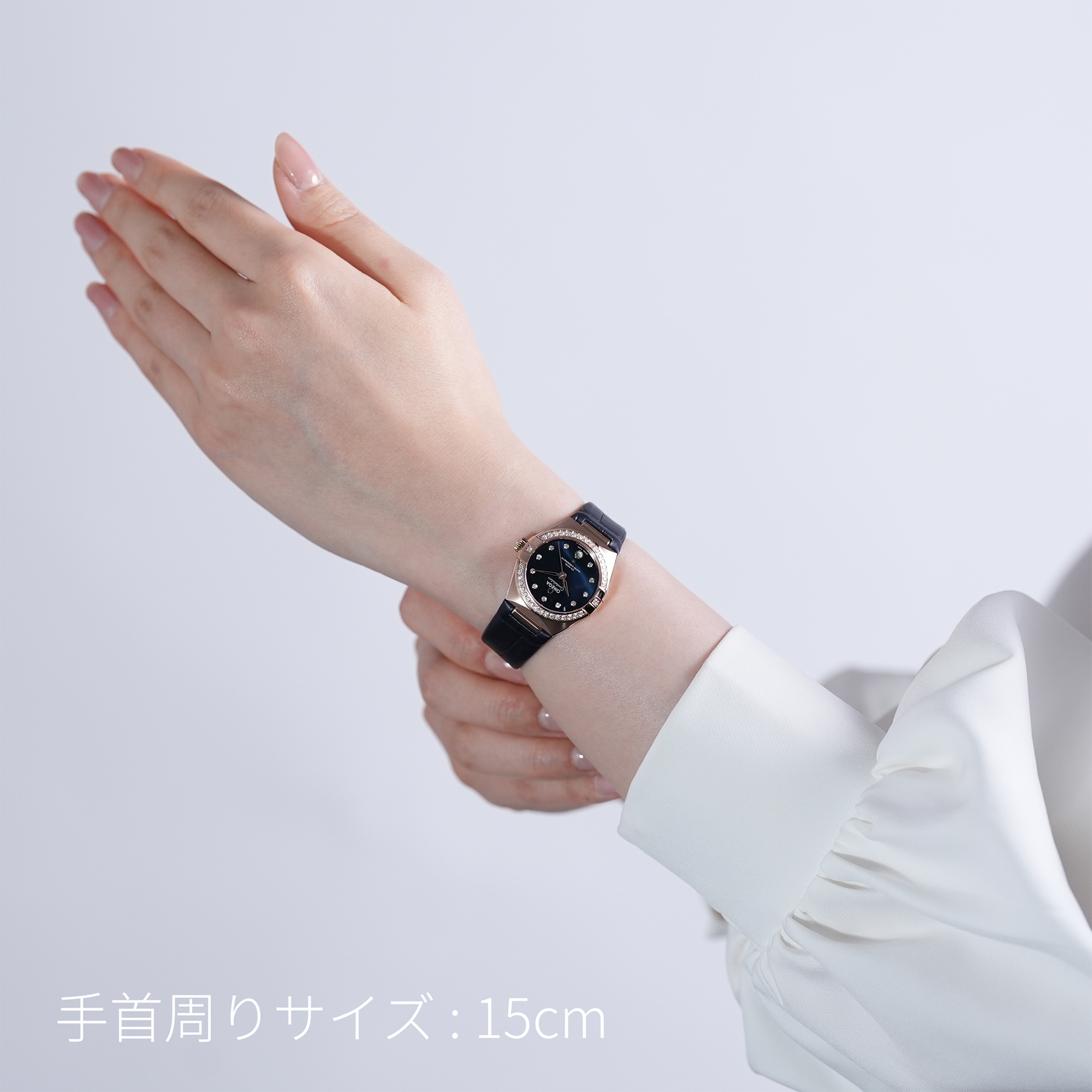新品)OMEGA オメガ コンステレーション 29mm 131.58.29.20.53.002