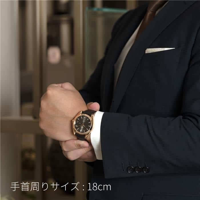 新品)OMEGA オメガ シーマスター アクアテラ アニュアルカレンダー