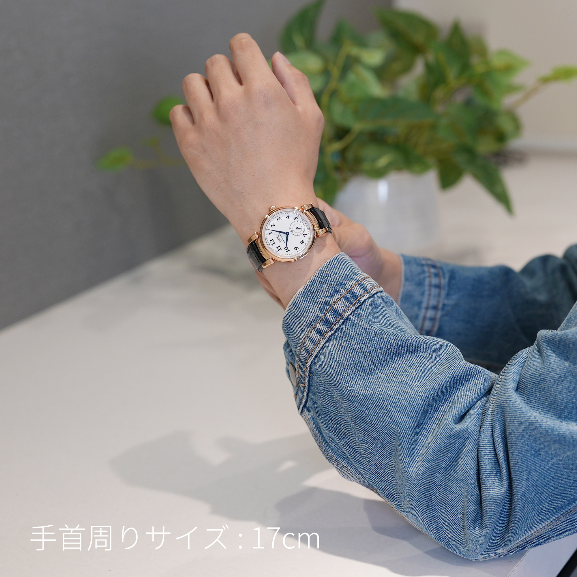 IWC インターナショナル ウォッチ 稼動品 【公式通販】