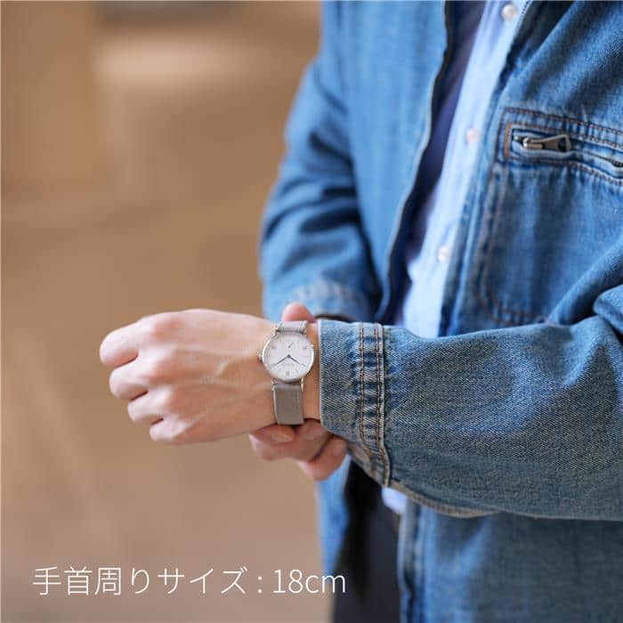 NOMOS 手巻き時計 ホワイト　ラドウィック　３３ ラドウィッグ 33 – WING REVOLUTION