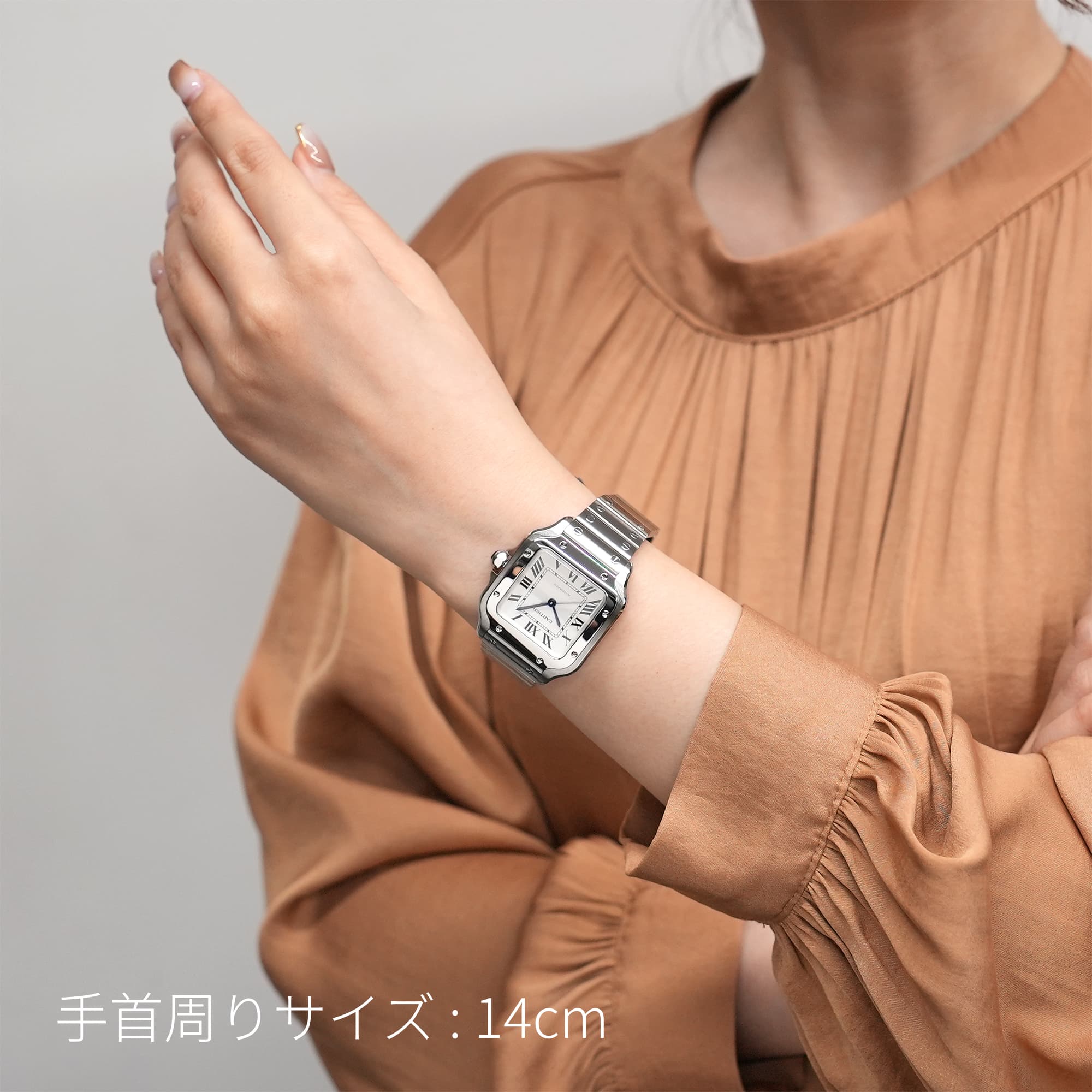 中古)CARTIER カルティエ サントス ドゥ カルティエ MM WSSA0029（商品