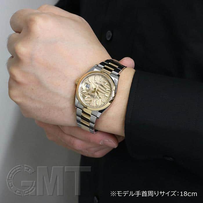 ロレックス　デイトジャスト　パーム　掛時計　新品未使用品 中古)ROLEX ロレックス デイトジャスト 36 126203 パームモチーフ