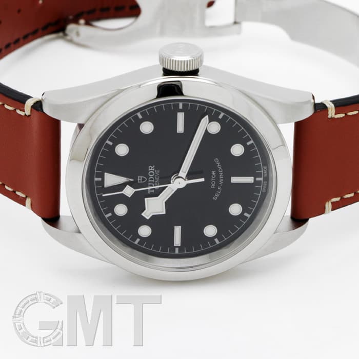 新品)TUDOR チューダー ヘリテージブラックベイ 41 M79540 ブラウン