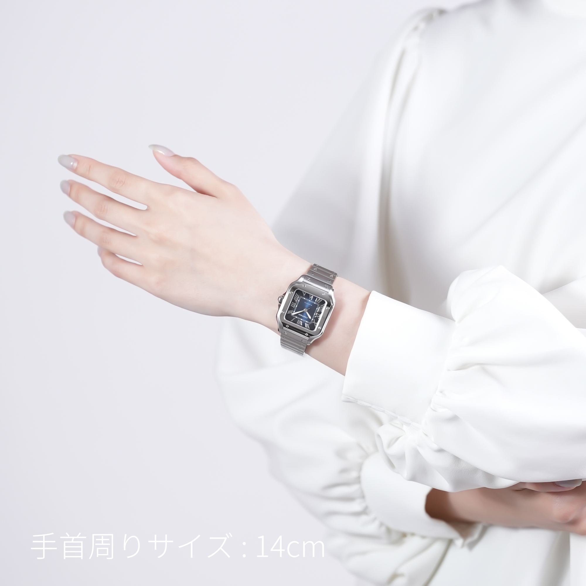 中古)CARTIER カルティエ サントス WSSA0063（商品ID：3717030000883