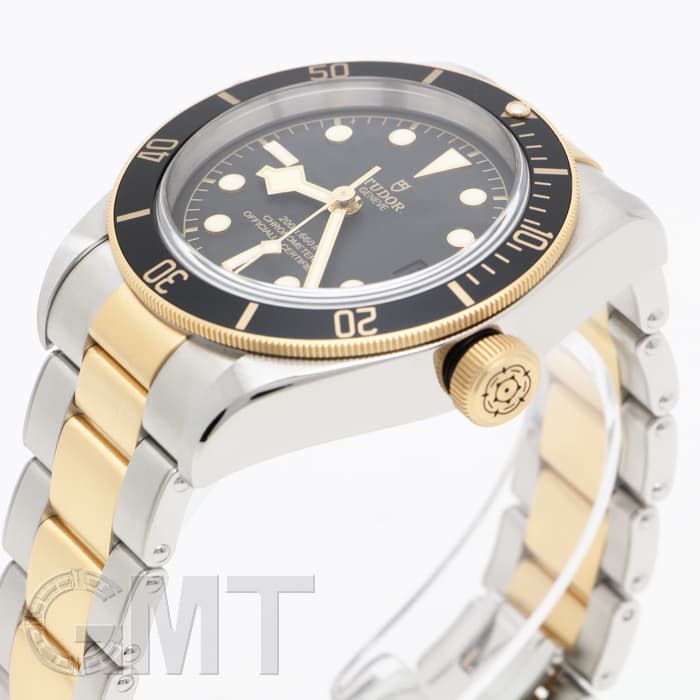 新品)TUDOR チューダー ブラックベイ S&G M79733N-0008（商品ID