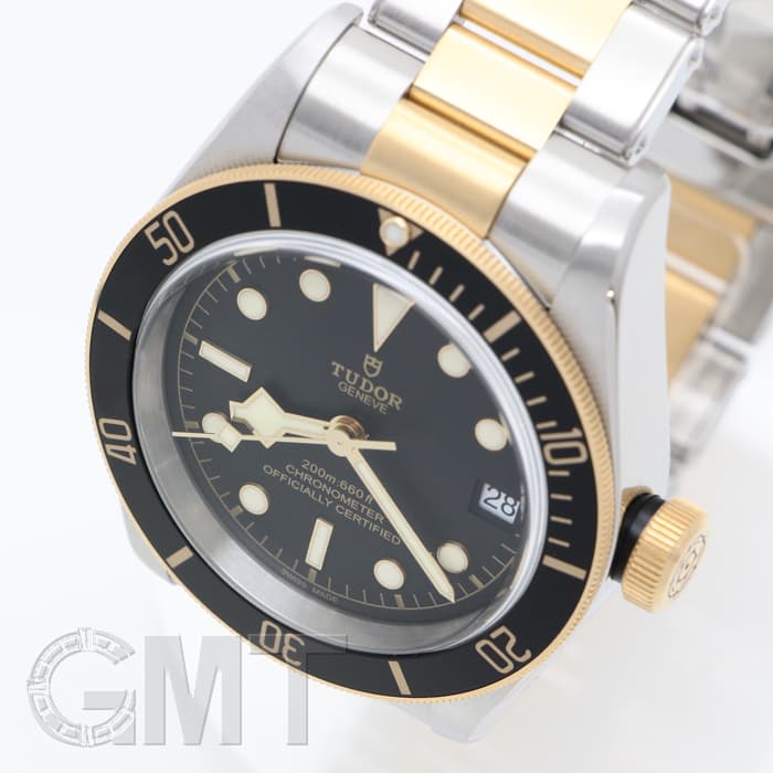新品)TUDOR チューダー ブラックベイ S&G M79733N-0008（商品ID