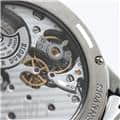 ROGER DUBUIS ロジェ・デュブイ エクスカリバー RDDBEX0384