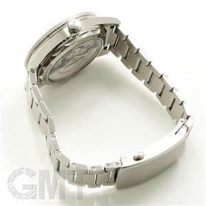 OMEGA オメガ シーマスター 300 マスターコーアクシャル 234.30.41.21.03.001