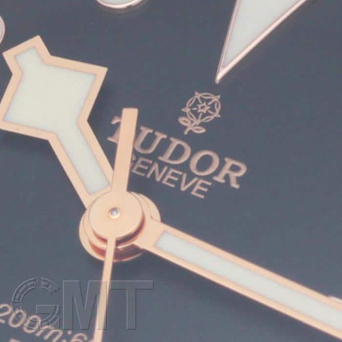 中古)TUDOR チューダー ヘリテージブラックベイ Ref.79220R（商品ID