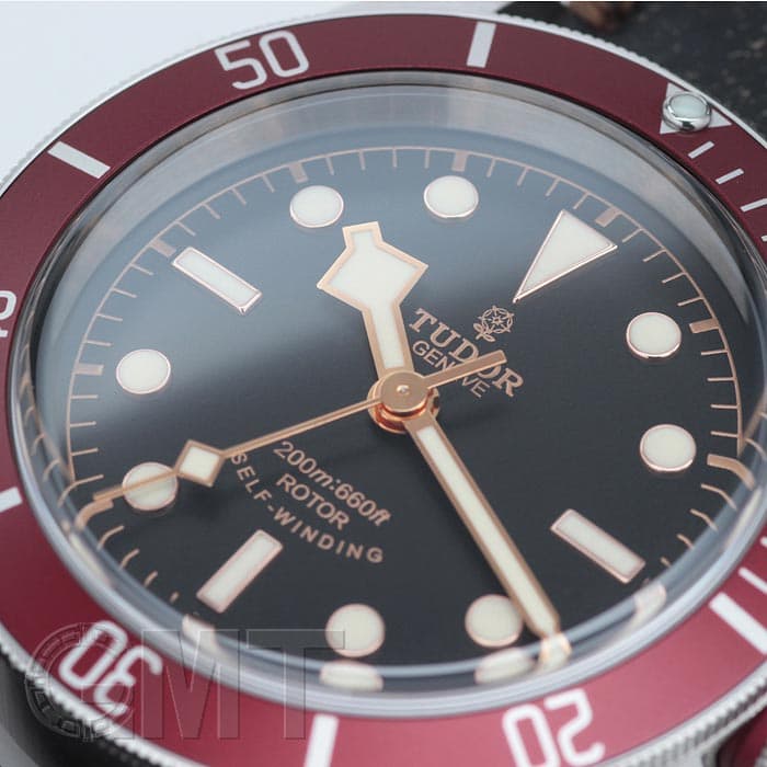 中古)TUDOR チューダー ヘリテージブラックベイ Ref.79220R（商品ID