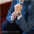 ROLEX ロレックス GMTマスター II 116710LN